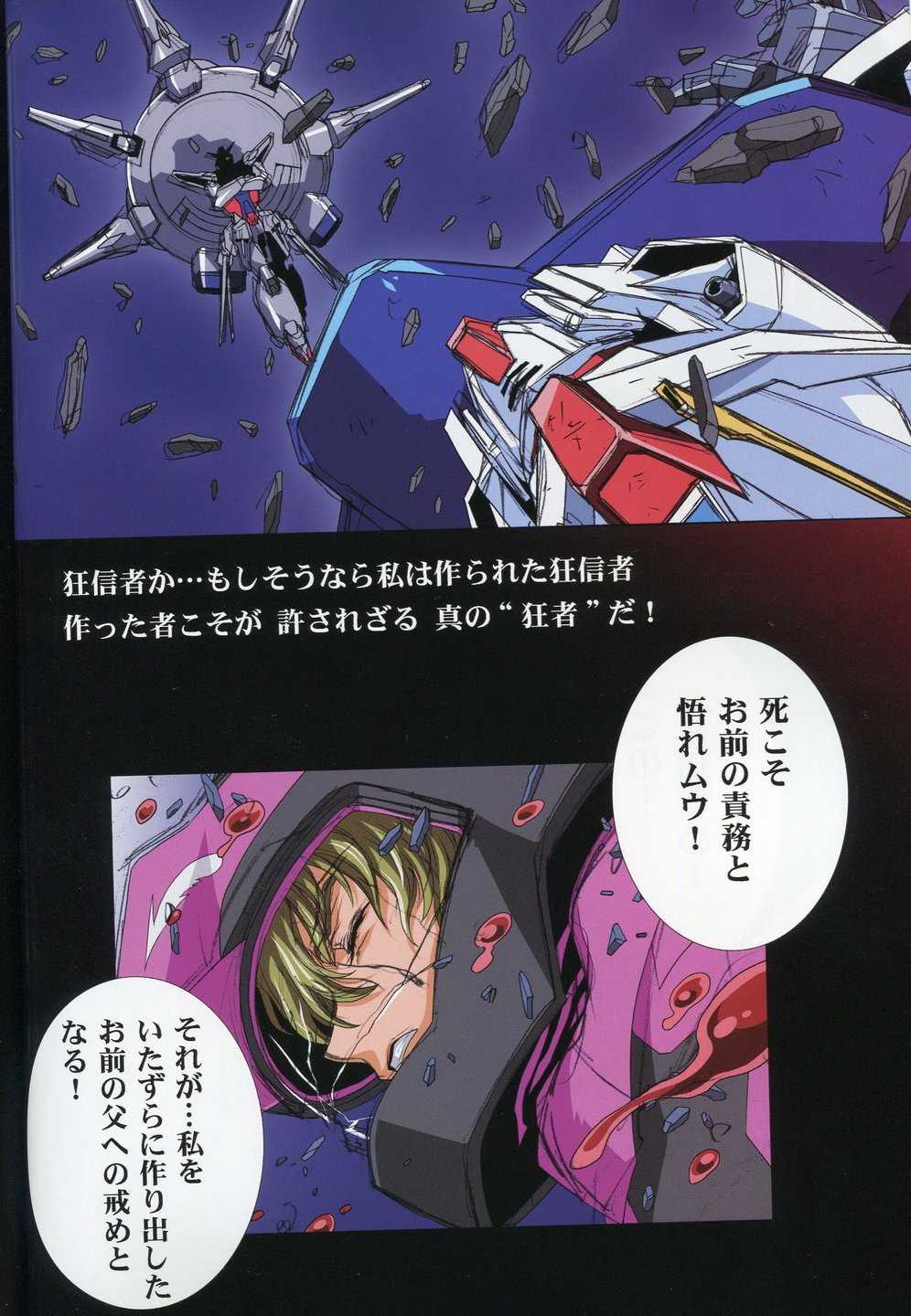 [HenReiKai] - Gundam SEED - Another Century D.E. 6 Destiny Epilogue/Epiroge 