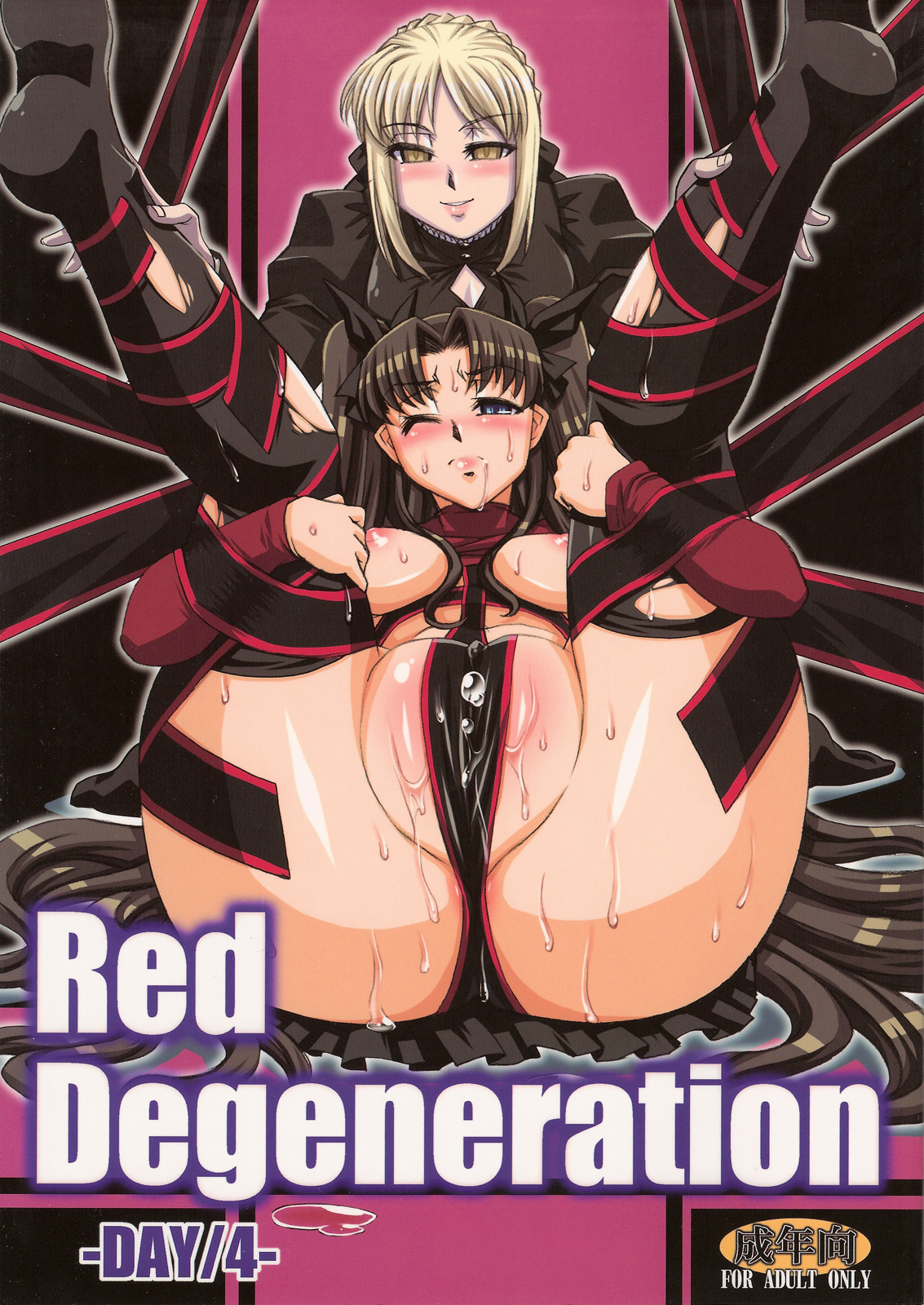 [H.B(B-RIVER)] Red Degeneration DAY4 (Fate stay night) 