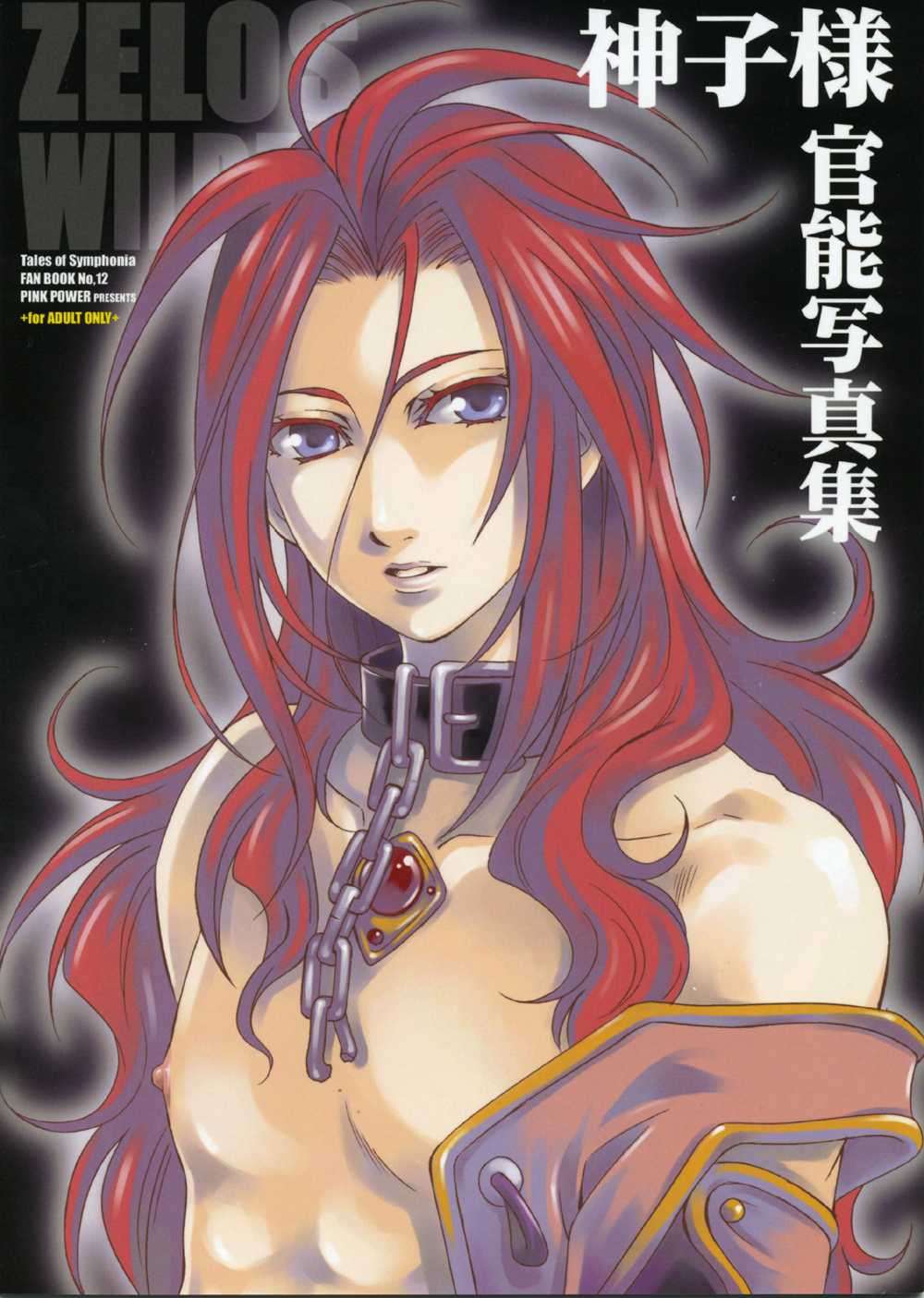 [Pink Power] Mikosama Kannou Shasinshu (同人誌)  [PINK POWER] 神子様官能写真集 (テイルズ)