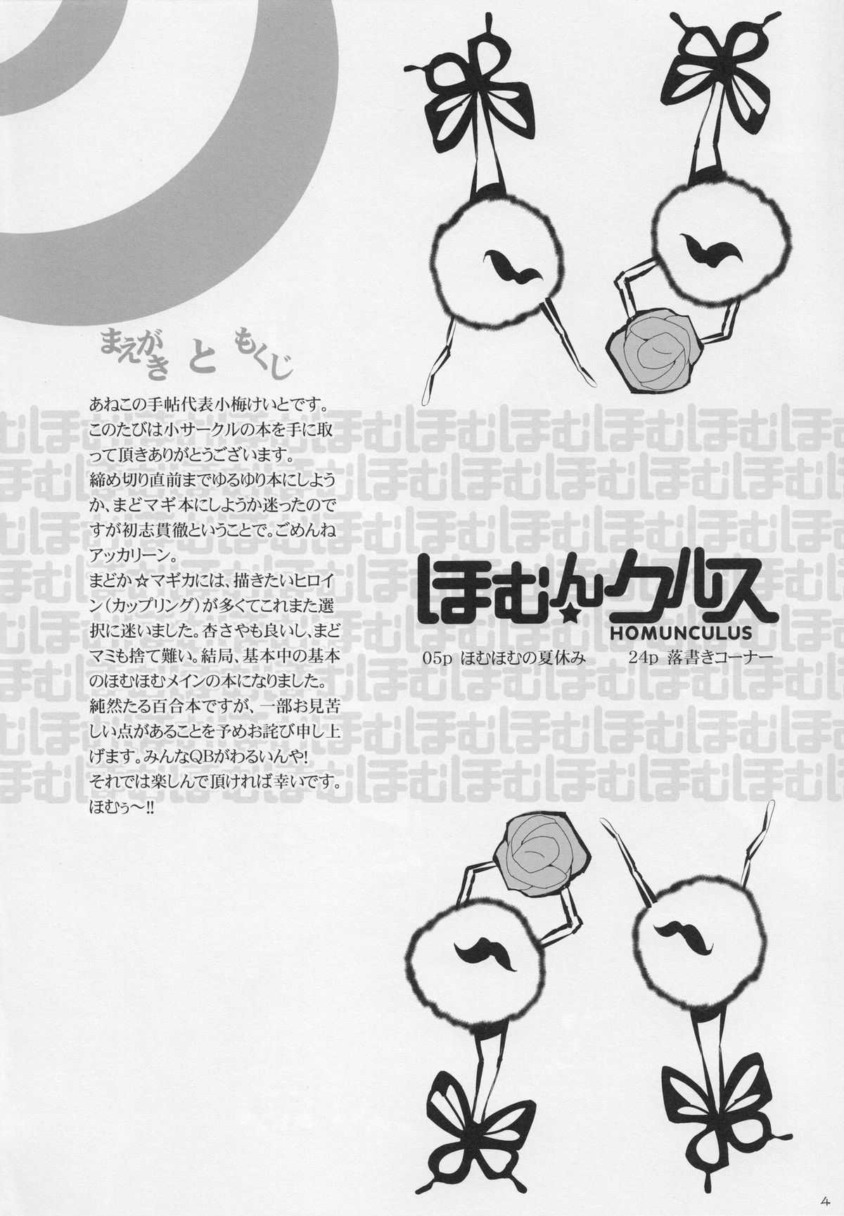 (C80) [Aneko no Techo (Koume Keito)] HOMUN★CULUS (Puella Magi Madoka☆Magica) (C80) [あねこの手帖 (小梅けいと)] ほむん★クルス (魔法少女まどか☆マギカ)