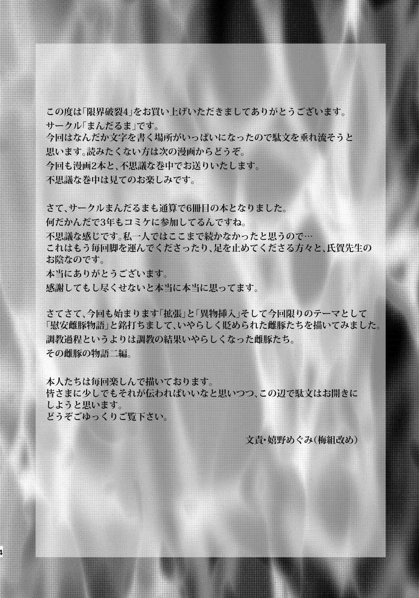 (C74) [Mandaruma (Ujiga Waita, Ureshino Megumi)] Genkai Haretsu 4 [English] [Rewrite] (C74) [まんだるま(氏賀Y太、 嬉野めぐみ)] 限界破裂 4 [新しい英語の物語]