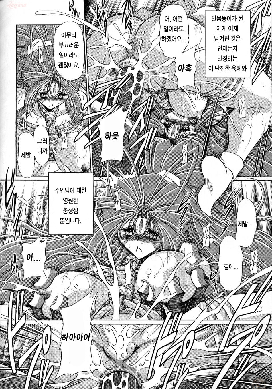 (C70) [Circle Taihei-Tengoku (Horikawa Gorou)] Megami no Ana | 여신의 구멍 (Ah! My Goddess) [Korean] [Project H] (C70) [サークル太平天国 (堀川悟郎)] 女神の穴 (ああっ女神さまっ) [韓国翻訳]