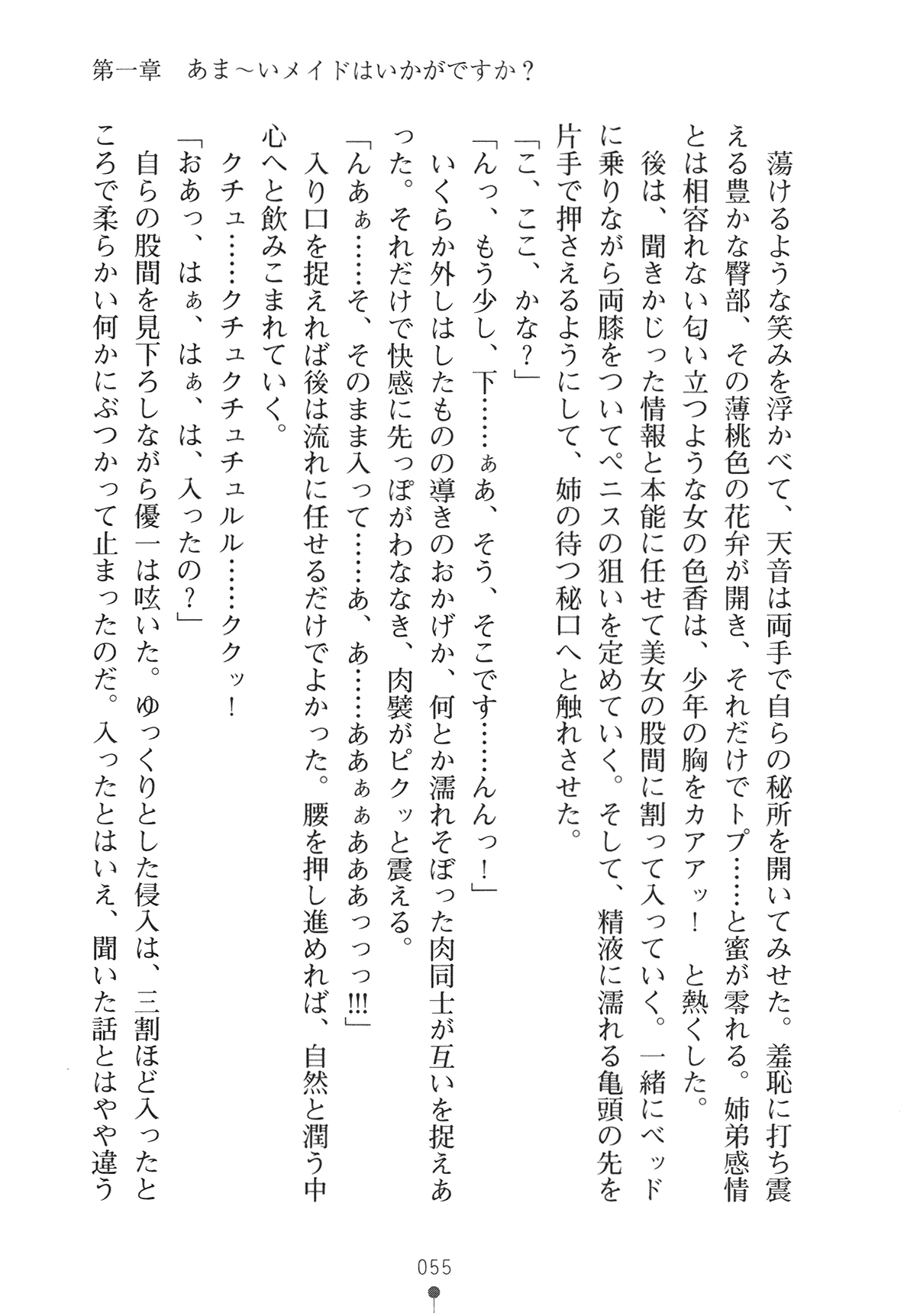 [Obakyu-Taro × Hasegawa Yukino] Maid na Oneesan ha Ikaga Desuka? | Would You Like Maid Sister? [089タロー & 長谷川ユキノ] メイドなお姉さんはいかがですか？ (二次元ドリーム文庫148)